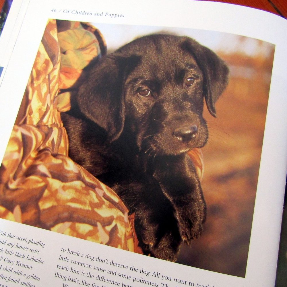4 Beautifully Illustrated Puppy Lover Books